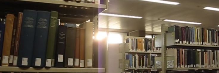 robert california of shedtwt banner