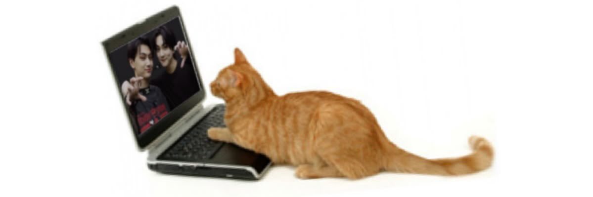 ⋆.˚ ᡣ𐭩 banner