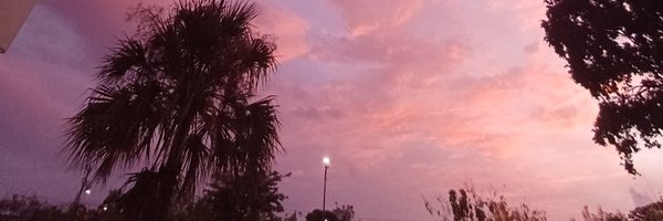 bridalfilly Profile Banner