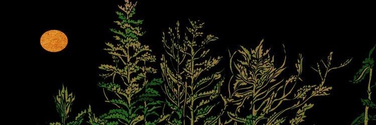 CuriousBab83678's profile banner image