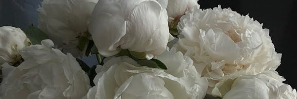 dearlymist Profile Banner