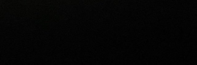 la petite terrible banner