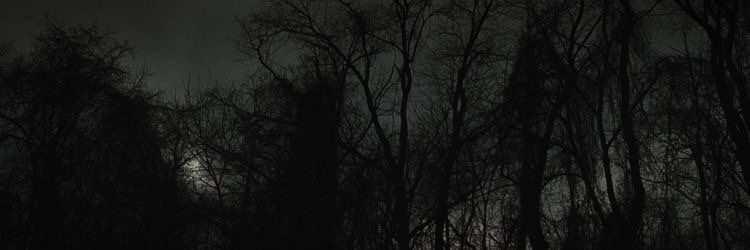 gazthagh0st's profile banner image
