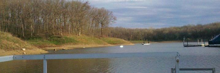 Laura Johnston banner