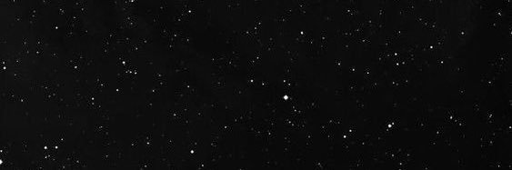 L banner