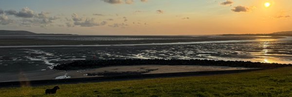 msparkled Profile Banner