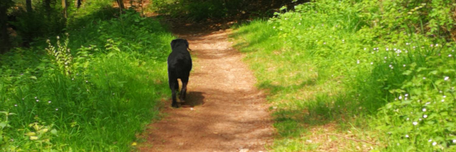 lifefullcouk's profile banner image