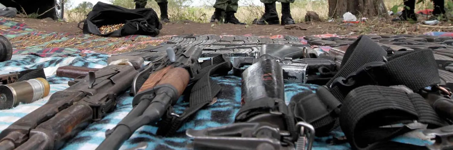 Gabriela Ramírez banner