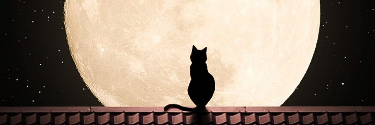 thinkyoumore's profile banner image