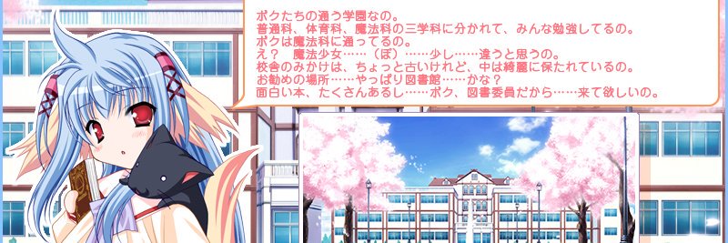 shirokuru's profile banner image