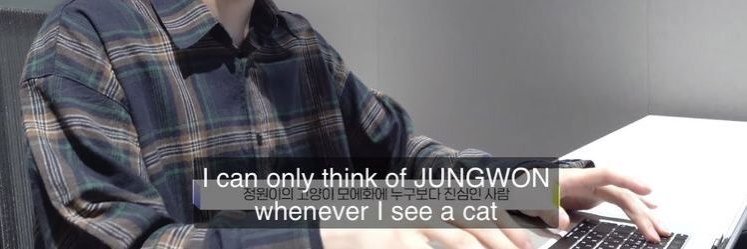 phany sevEN 🧡​🍀​ banner