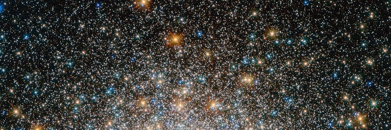 Sarah Larimer banner