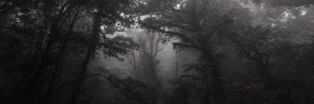 oplris's profile banner image