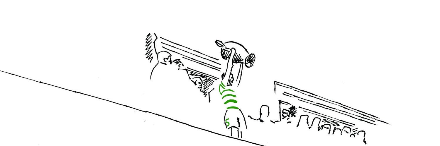 Ronan King banner
