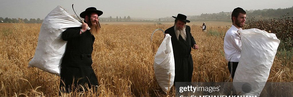 Jewish Bagworker banner