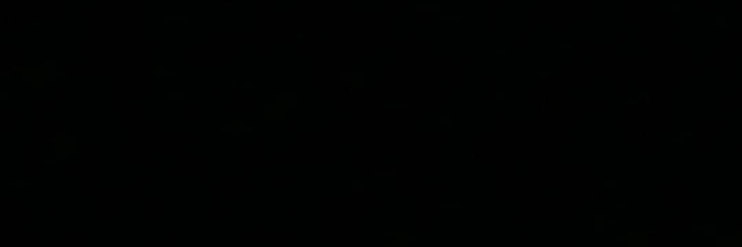 Ceviche Altnigger banner
