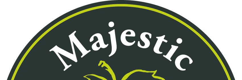 majestichas's profile banner image