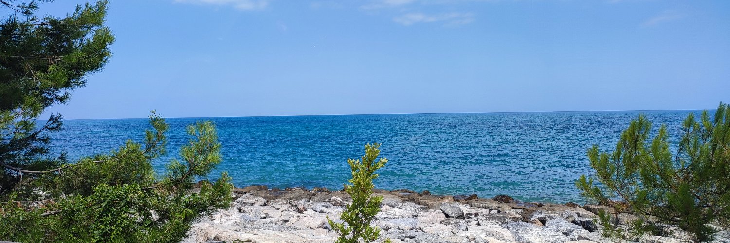 Tareef | طريف banner