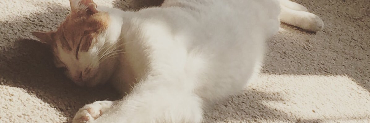 Missy E banner