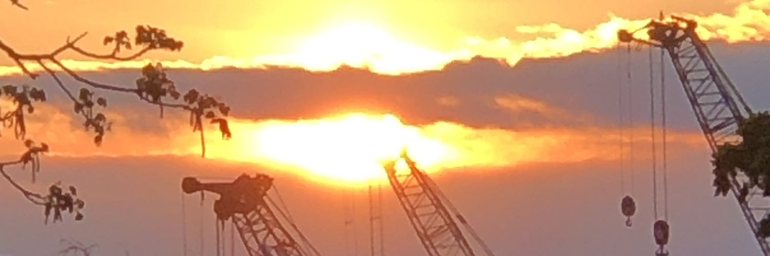 Emmie banner