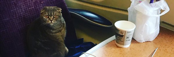 ConortheNolan Profile Banner