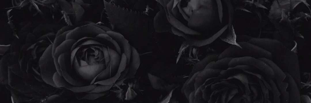 versdente's profile banner image