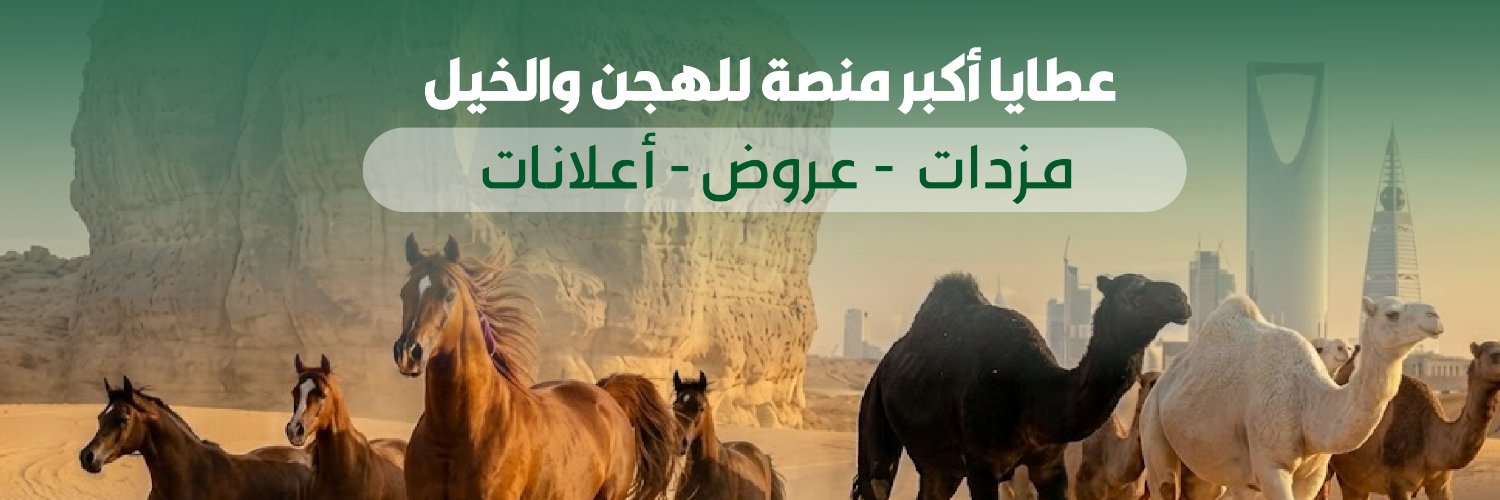 AtayaPlat's profile banner image