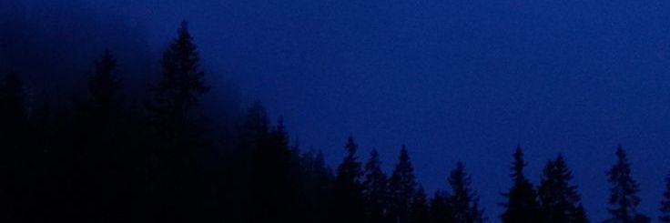 Button_Quaail banner