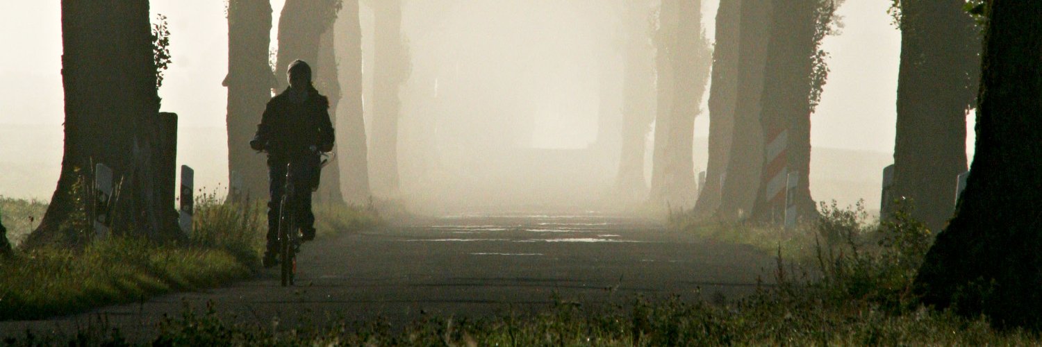 marksloendregt's profile banner image