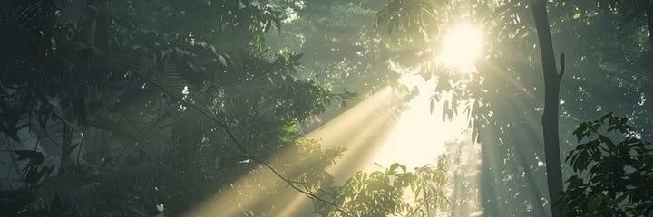 NatureNova banner