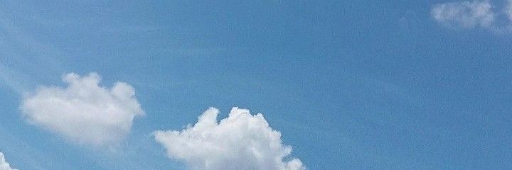 パンダもち🌸 banner