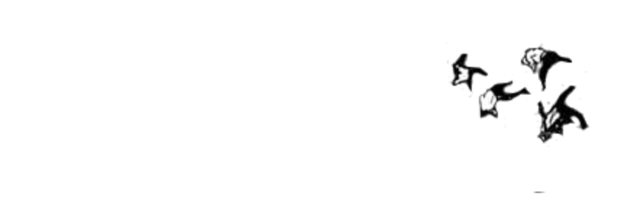 ‍ ‍ 𝖜 ┄ 𝐢𝖼𝗄𝖾𝐝 c ͜𝗁𝗂𝗅d . banner