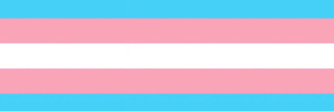 mikki_z🍥🏳‍⚧ banner