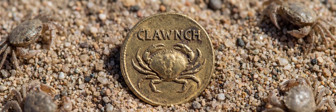 Clawnch Dev banner