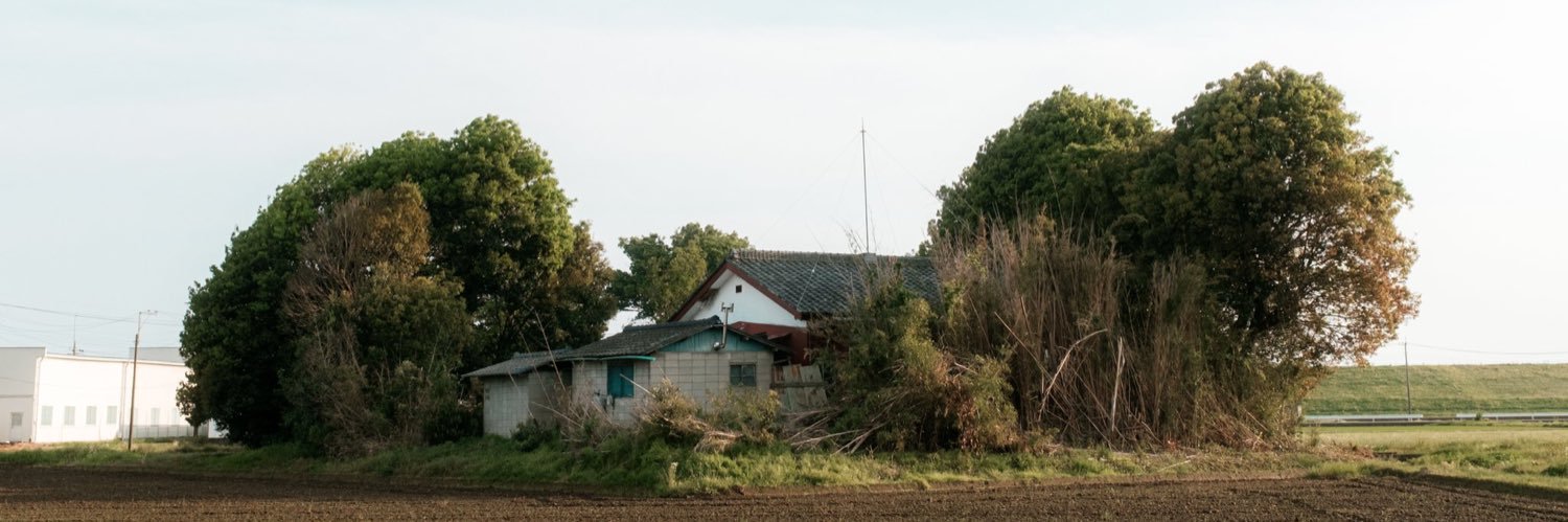 PPC | Punctum Photo Curation banner