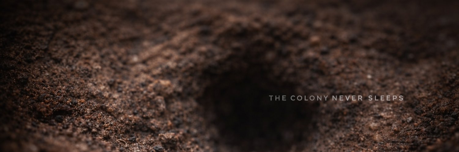 tiredants's profile banner image
