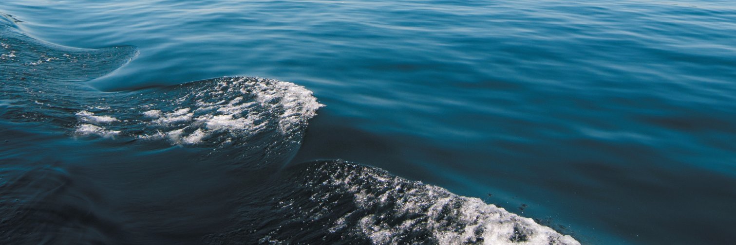 grayestone's profile banner image