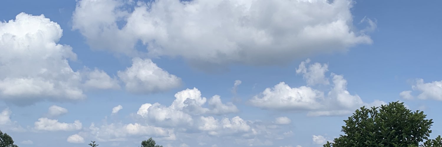 Ortyhj's profile banner image