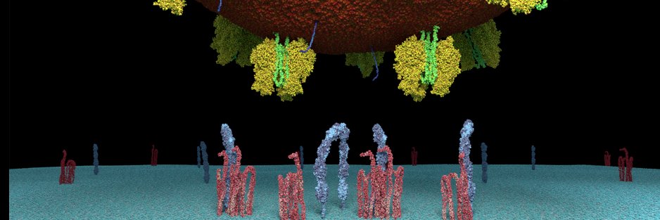 Grupo ICV_ULL Lab banner