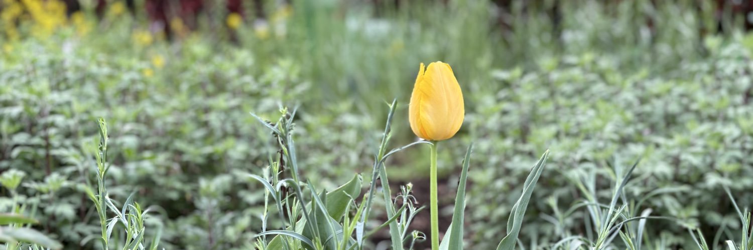 ペー@U:nity banner