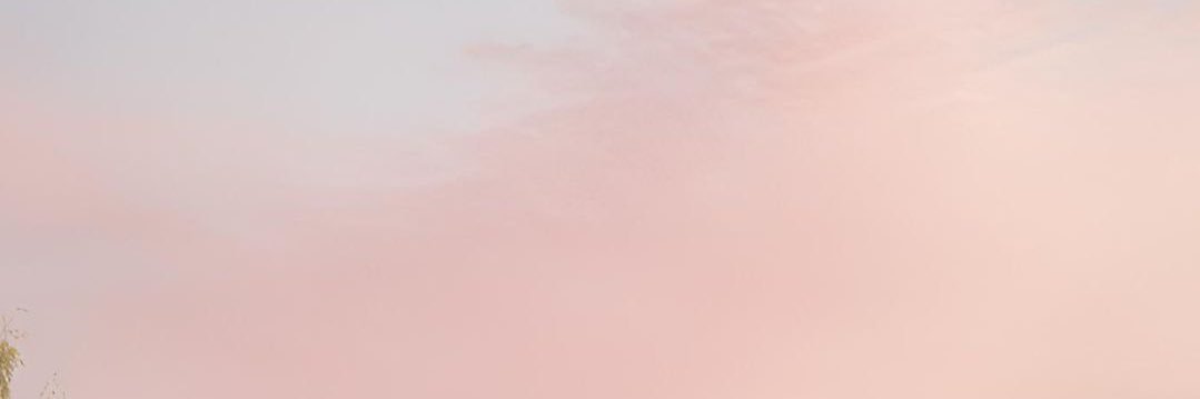 Pearlysea 🪷 banner