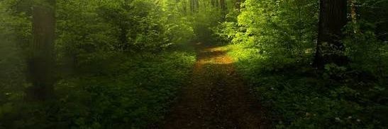 💜𝑹𝒂𝒕𝒕𝒂𝒕𝒂💜 banner