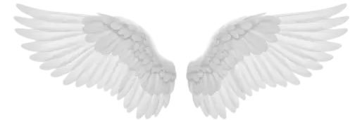 天灰 アズ✝👼🪽 banner