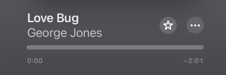 🙈❤️🐞 banner