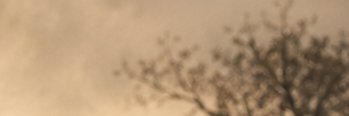 车夫 banner