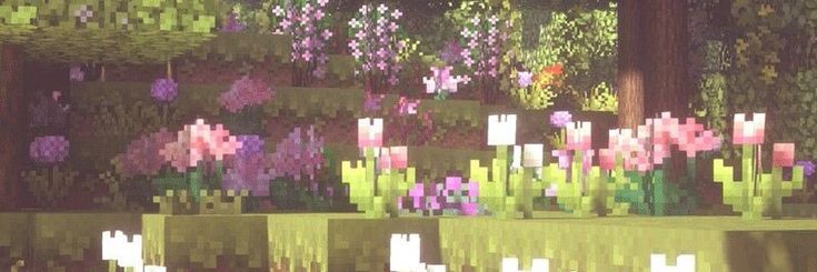 naih 💋 banner