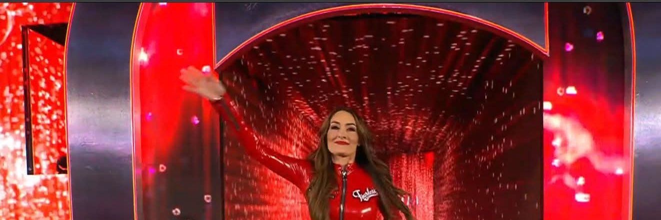 Stephanie Nicole Garcia colace (Nikki bella) banner