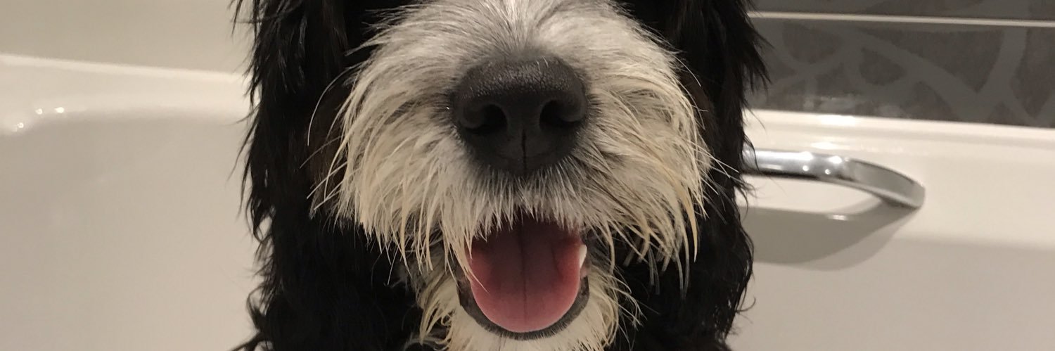 deestevenson's profile banner image