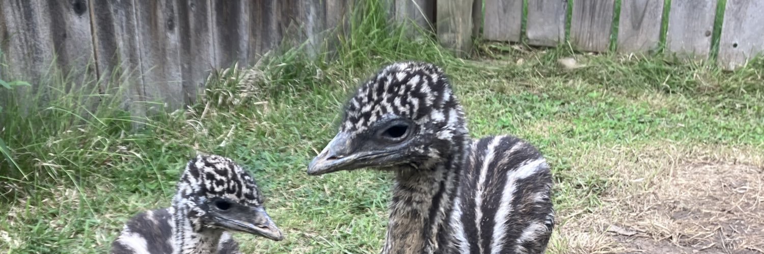 7 Springs Ranch banner