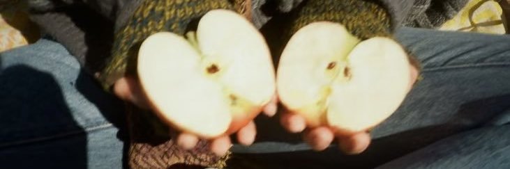 奶酪cheese banner
